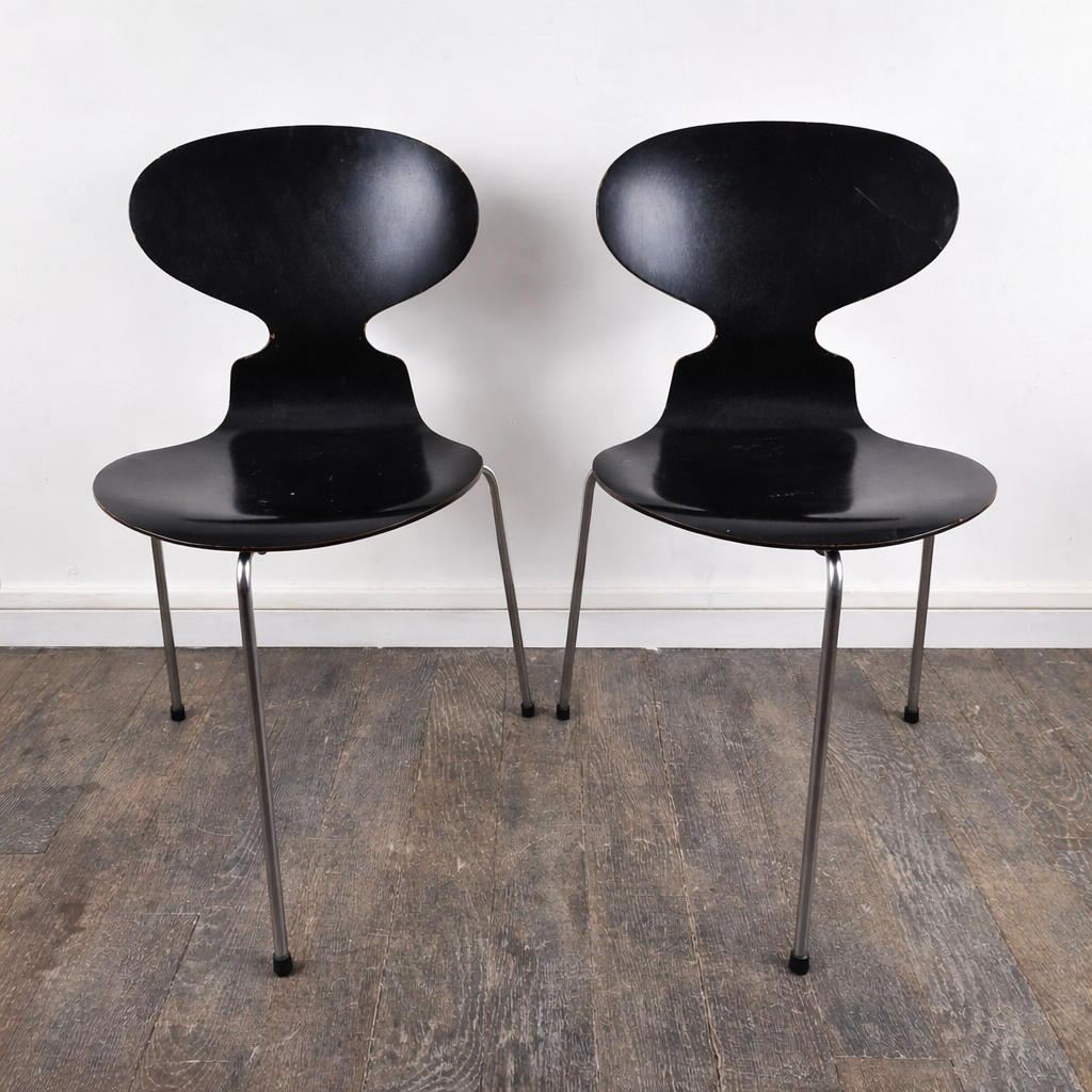 Paire de chaises en hêtre noir satiné modèle 3100 "fourmi" par Arne Jacobsen pour Fritz Hansen, Danemark, 1957 – vue de face – en métal – Danemark – Atelier 56