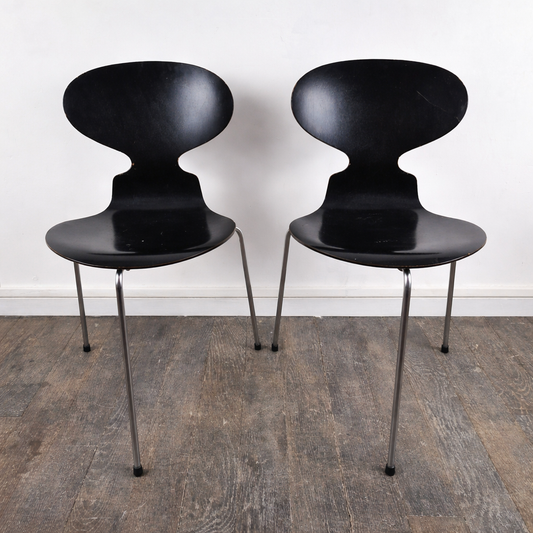 Paire de chaises en hêtre noir satiné modèle 3100 "fourmi" par Arne Jacobsen pour Fritz Hansen, Danemark, 1957 – vue de face – en métal – Danemark – Atelier 56